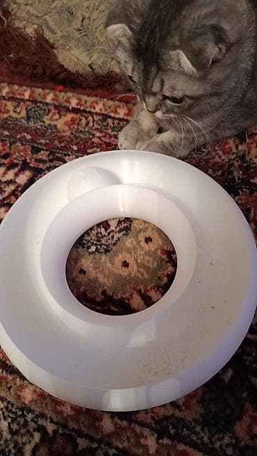heyvan oyuncaqlari: Məhsul: Pişik üçün dairəvi “toplu tunel” oyuncaq Təsvir: - Material — 4
