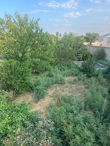 aylig kiraye evler: 7 sot, Tikinti, Mülkiyyətçi, Kupça (Çıxarış) — 10