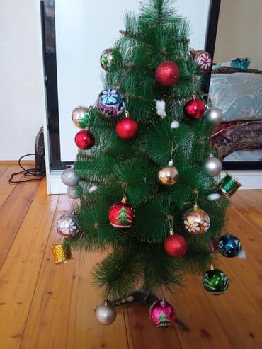 avokado ağacı: Yolkanın hundurluyu. 95 sm üstünde iqruşkalarla birlikdə bele — 7