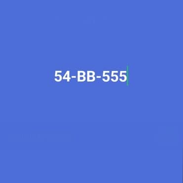 qoşqu mala: 54-BB-555 qeydiyyat nömrəsi avtomobil üçün nəzərdə tutulmuşdur. Bu — 1