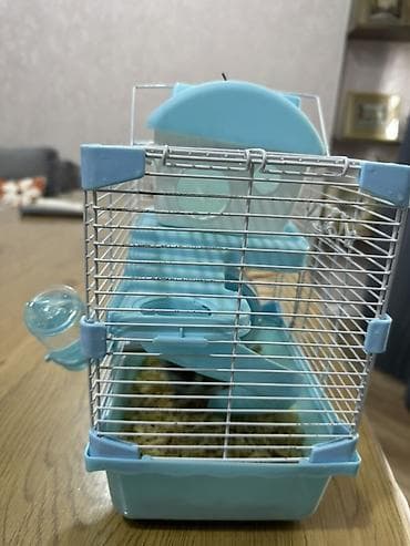 Heyvanlar üçün mallar: Hamster üçün iki mərtəbəli qəfəs – mavi/ağ Icinde bir eded hemster — 2