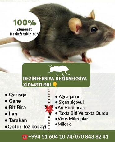 en yaxsi xalca yuma hansi: Dezinfeksiya, dezinseksiya | Taxtabiti, Birələr, Tarakanlar | Nəqliyyat, Ofislər, Mənzillər — 6
