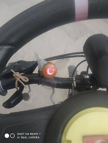 Uşaq velosipedləri: Unikal modifikasiya olunmuş velosiped - Sükan əvəzinə avtomobil tipli — 4