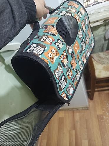 boyunlug: Pişik üçün sunka — 1