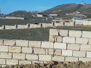 bine atcılıq: 80 sot — 1