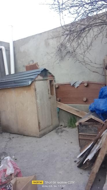 Taxta quşxana/kümes - Material: kontrplak/taxta gövdə, metal örtüklü