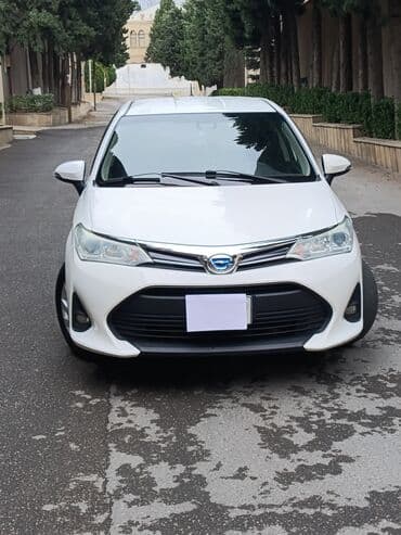 kvadrasikl satisi: Toyota Corolla: 1.5 l | 2019 il Universal — 1