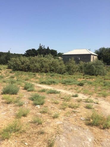 binə qəsəbəsi: 45 sot, Tikinti, Makler, Kupça (Çıxarış) — 2