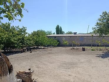 torpaq satilir: Kənd təsərrüfatı, Kupça (Çıxarış) — 7