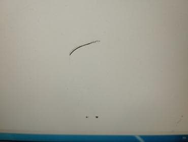 oval samsung tv: LCD Monitor Samsung SyncMaster Model: 920NW — 8