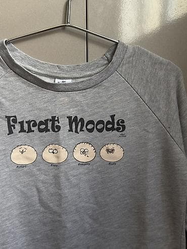 qar geyimi: Boz rəngli sweatshirt - Ön hissədə “Firat Moods” yazısı və dörd — 2
