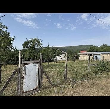 ev satilir: 9 sot, Tikinti, Mülkiyyətçi, Kupça (Çıxarış) — 2