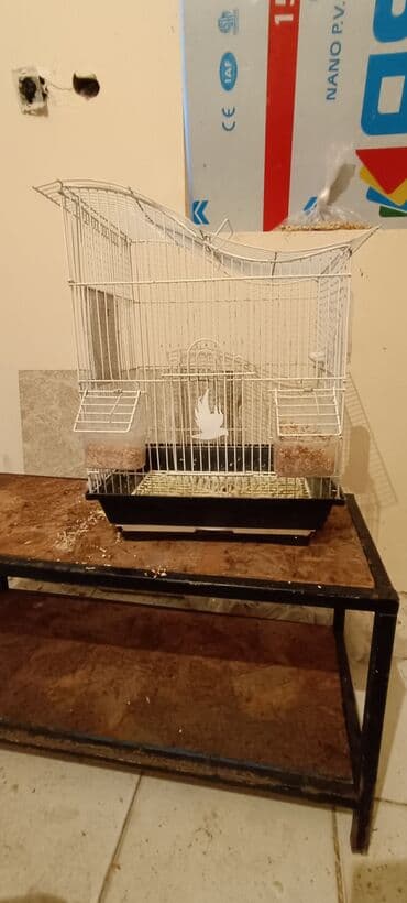 Quş qəfəsi – metal karkaslı, dekorativ dalğalı dam dizaynı ilə lalafo.az -da Quş qəfəsi – metal karkaslı, dekorativ dalğalı dam dizaynı ilə