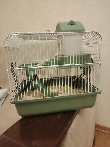 Heyvanlar üçün mallar: Hemstr gefesi icində 2 hemstr birisi ag və gara giyməti 55 aznreal — 3