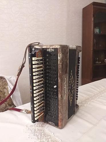 akkardeon: Akustik Akkordeon — 1