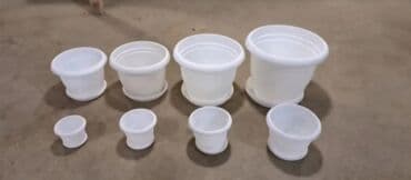 kaybolan yıllar 50: Dibcek Dibcek qabi yumru aq rengli gul.qabi yumru aq rengli dibcek — 22