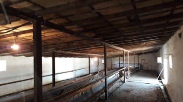 nerimanovda obyekt satilir: Suraxanı rayonu, Bahar qəsəbəsi, Süd zavodunun yanı, 12 sotda ümumi — 7