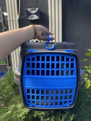 pişik əşyaları: Heyvan daşıma çantaları/konteynerləri - Material: möhkəm sərt plastik — 3