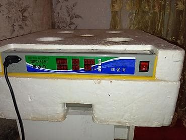 inkubator cuceleri: 300 yumurta, Çin, Tam avtomat — 4