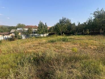 neftçilər ev: 5 sot, Tikinti, Mülkiyyətçi, Kupça (Çıxarış) — 5