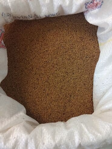 otaq qapilari kreditle: Məhsul: Yonca toxumu. Beyləqan sortu — 2