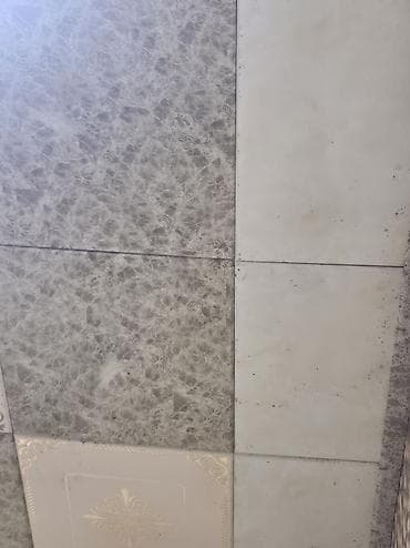 Asma tavan, Suyadavamlı, Ünvandan götürmə, Ödənişli quraşdırma, Zəmanətli — 3