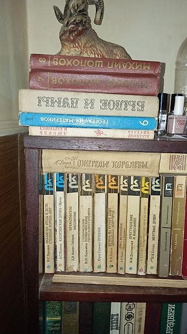 Kitablar və jurnallar: Məhsul: Ev kitabxanası – müxtəlif janrlarda böyük kitab kolleksiyası — 3