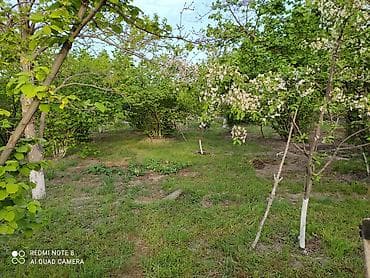 ev qiymətləri: 3 otaqlı, 70 kv. m, Orta təmir — 10