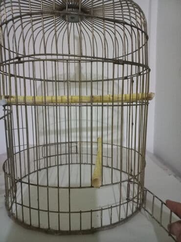 клетка для попугаев: Zədəsiz,ideal vəziyyətdə.Zavod malı,3 qapılı.Hündürlüyü 50 sm — 2
