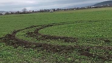 sumqayitda yeni tikili binalar: 6 sot, Kupça (Çıxarış) — 2