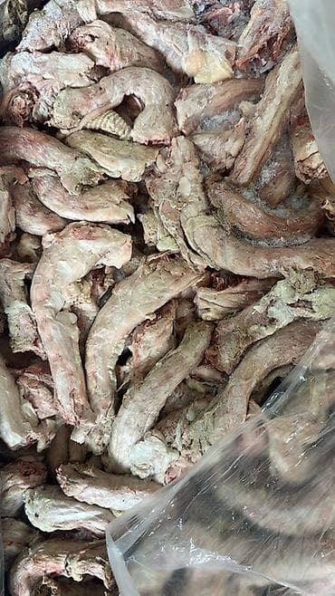 Məhsul: Dondurulmuş toyuq boynu Təsvir: - Qida sənayesi, ictimai iaşə — 2