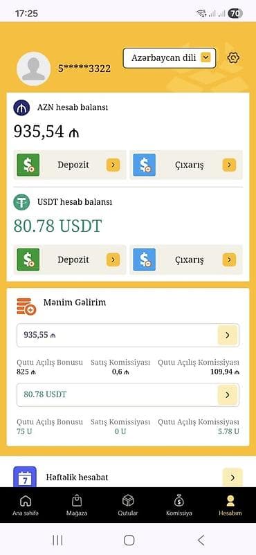 Mühasibat uçotu | Mühasibat uçotunun bərpası