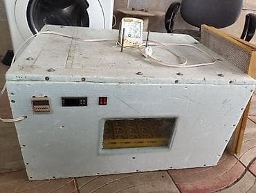 inkubator cucesi: 100 yumurta, Azərbaycan, Tam avtomat, Bütün növ quşlaq üçün — 10