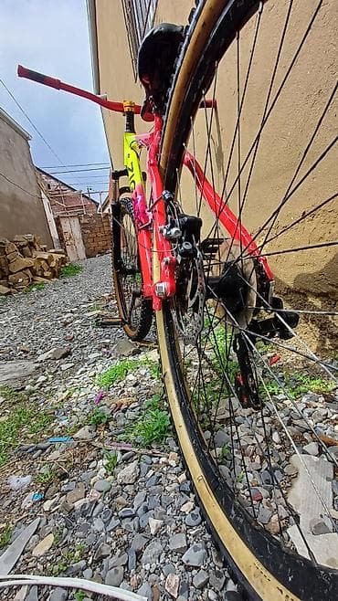 ucuz velosipedler: ZIGZAG dağ velosipedi - Çərçivə: yüngül alaşımlı hardtail, parlaq — 7