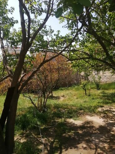 şirvanda satilan torpaqlar: 4 sot, Tikinti — 5