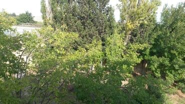 kirayə evlər 2022 bakı: Novxanıda Qurd dərəsi deyilən ərazidə, əsas yoldan təxminən 800 metr — 7