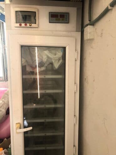 inkubator avadanlıqları satışı: 1 sezon istifadə olunub.yeni kimidi,800 əd yumurtalığdı. əlavə sual — 2