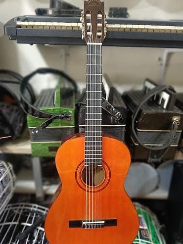 electro gitara: Jack Danny firması dı əla gitaradı — 1