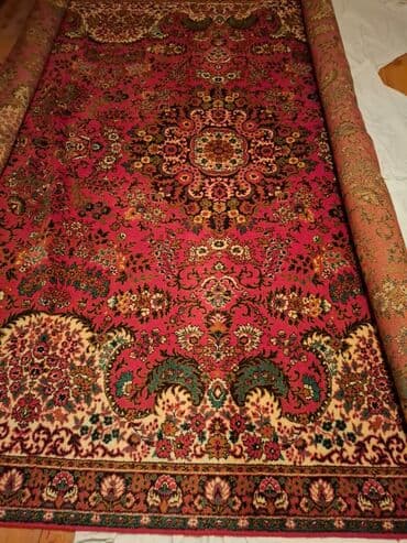 sazan balığı satışı: Xalça — 1