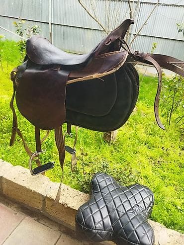 heyvan yemləri: Tam dəst at avadanlığı çox az işlənmiş qiymətdə endirim olacaq — 4