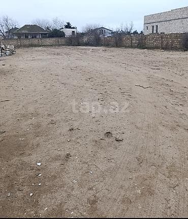 6 sot, Tikinti, Mülkiyyətçi, Kupça (Çıxarış)