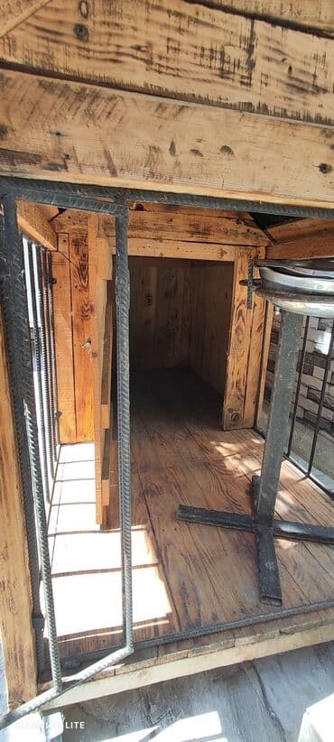 goyərcin yuvaları: Ölçüsü 2x1, it üçün yuva, boş boş adamlar narahat eləməsin zəhmət — 3