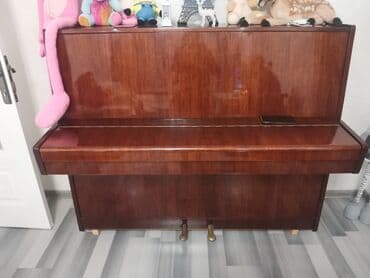 royal cat jakne: Piano, Belarus, Akustik — 4