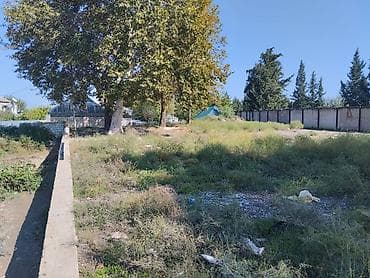 42 sot, Biznes üçün, Maklerlər narahat etməsin, Kupça (Çıxarış) — 8