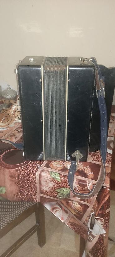 Musiqi alətləri: Akustik Akkordeon — 2