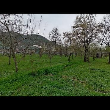 seyf qapilar ve darvazalar: Meyvə bağ sahəsi - Geniş, yaşıl ərazi: müxtəlif meyvə ağacları ilə — 1