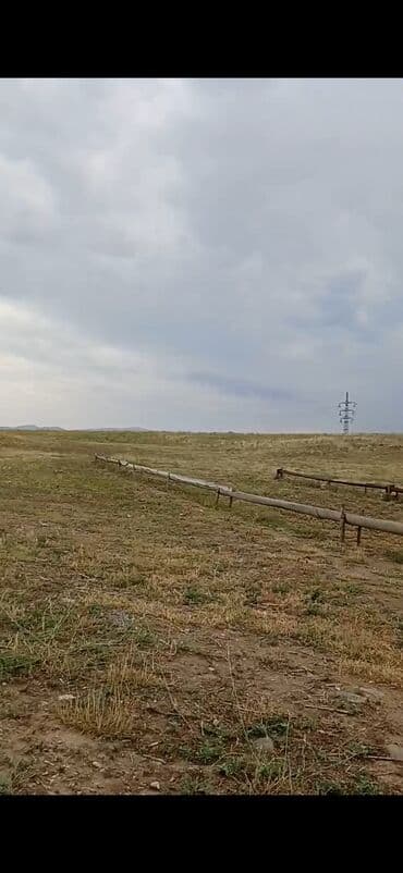 ramana gülçülük sovxozu: 32 sot, Kənd təsərrüfatı, Barter mümkündür, Kupça (Çıxarış) — 3