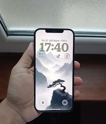 alfa awus036nha: IPhone 12 Pro Max, 128 GB, Pacific Blue — 1