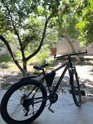 ucuz tablo: Dağ tipli velosiped – Shimano ötürücü sistemi ilə - Çərçivə: yüngül — 2