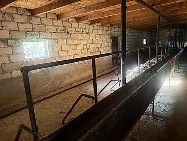 ucuz ev satıram: 5 otaqlı, 380 kv. m, Kredit yoxdur, Yeni təmirli — 5